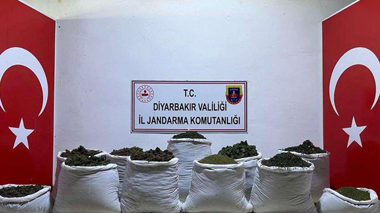 Diyarbakır'da 135 kilogram esrar, 47 bin kök kenevir ele geçirildi