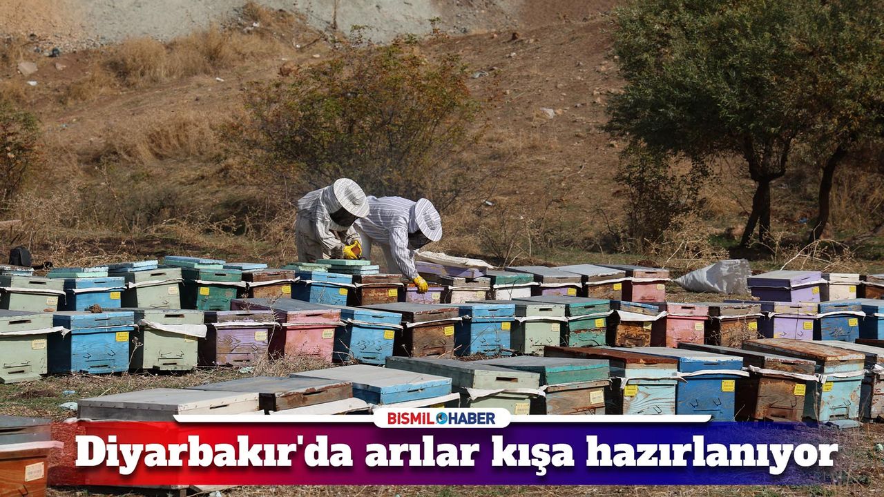 Diyarbakır'da arılar kış soğuklarından böyle korunacak