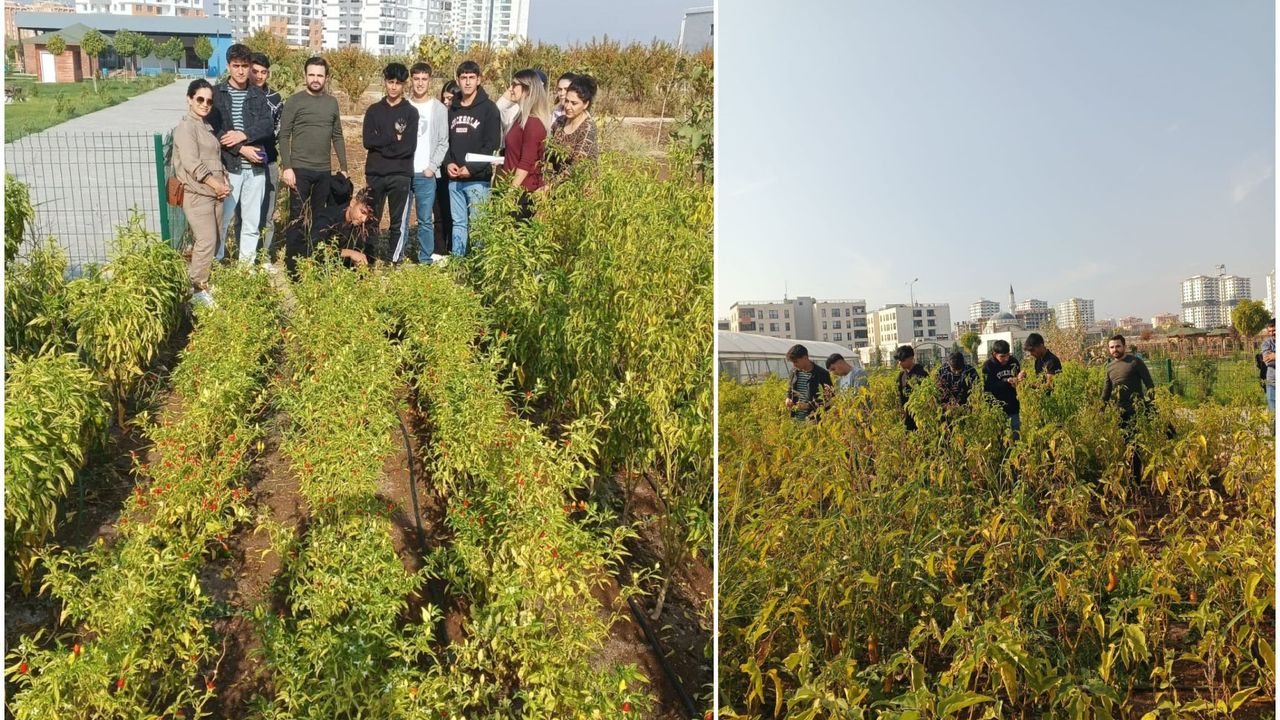 Diyarbakır'da lise öğrencilerine bahçe ve sera eğitimi