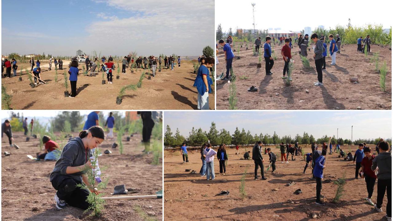 Diyarbakır'da öğrenciler, Milli Ağaçlandırma Günü'nde fidan dikti