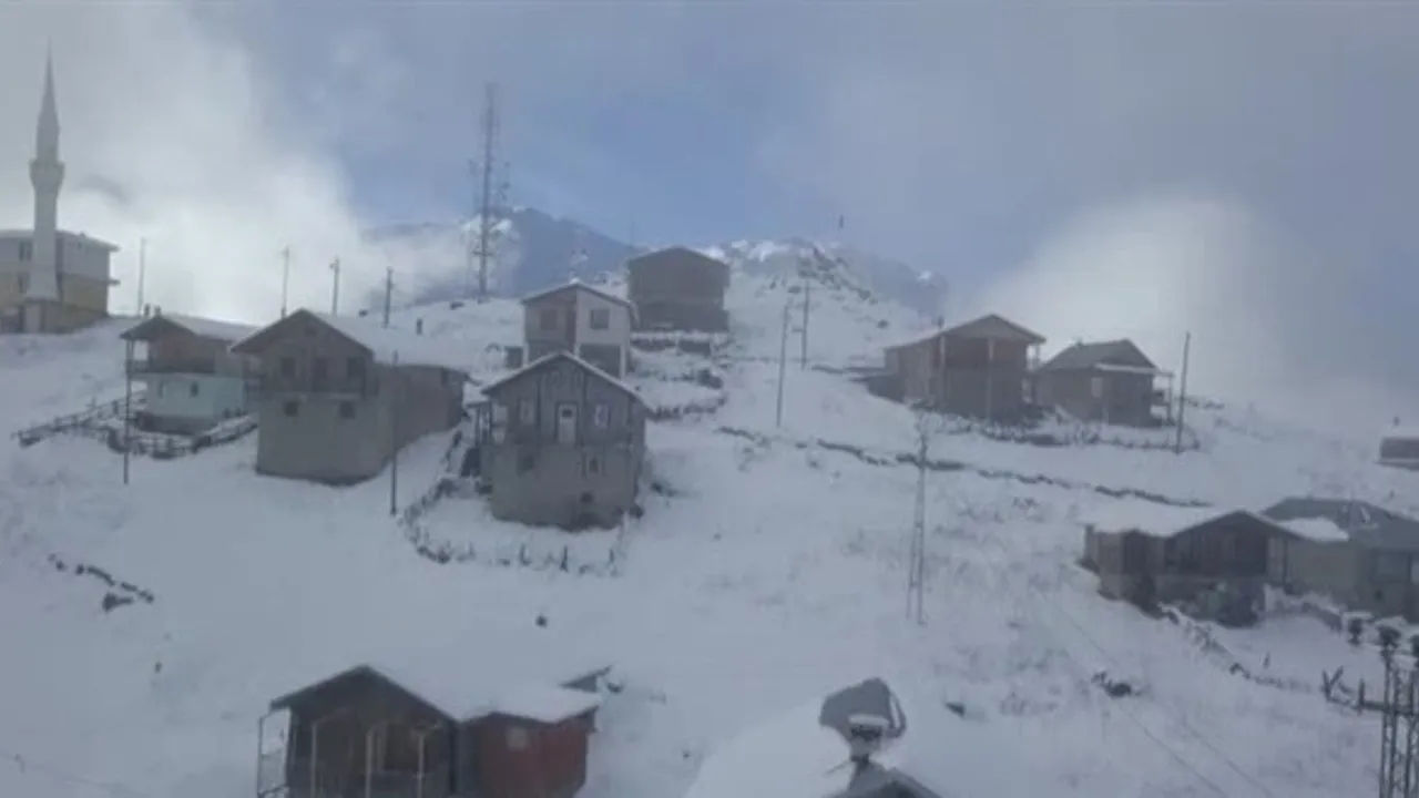 Bitlis ve Hakkari'de kar yağışı etkili oluyor