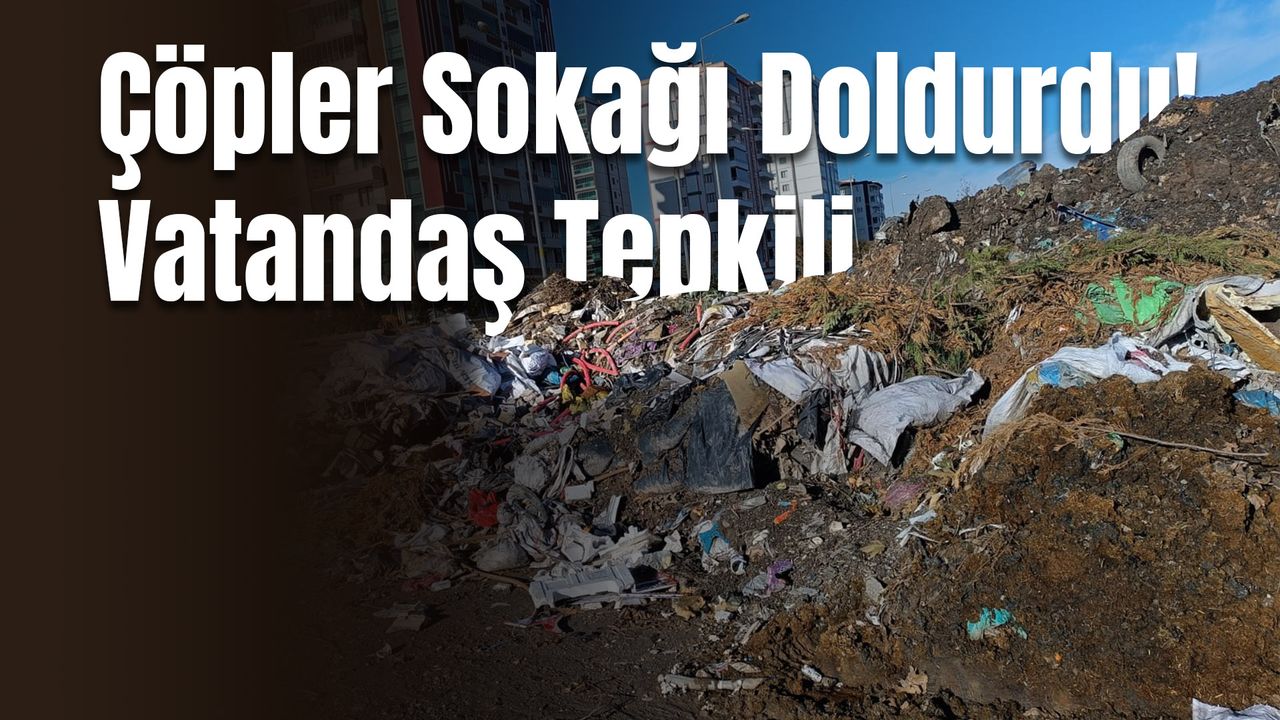Diyarbakır'ın Bu Mahallesi'nde Çöpler Sokağı Doldurdu! Vatandaş Tepkili