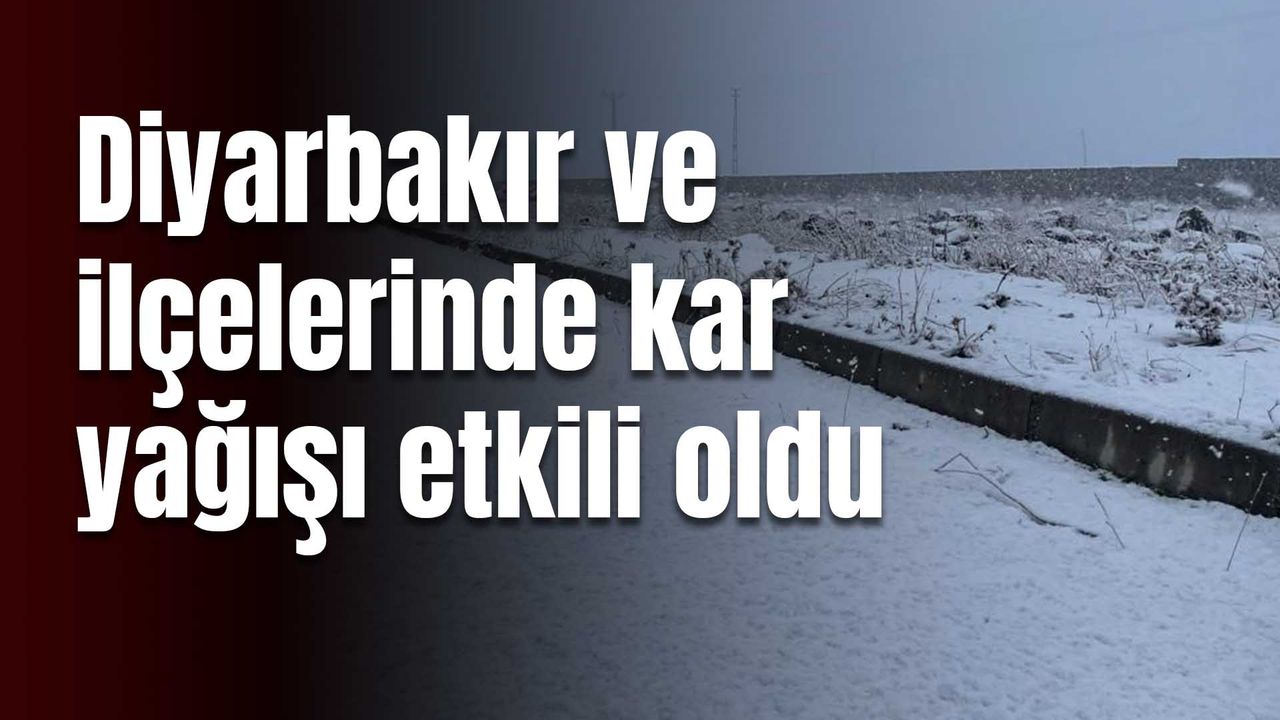Diyarbakır ve ilçelerinde kar yağışı etkili oldu
