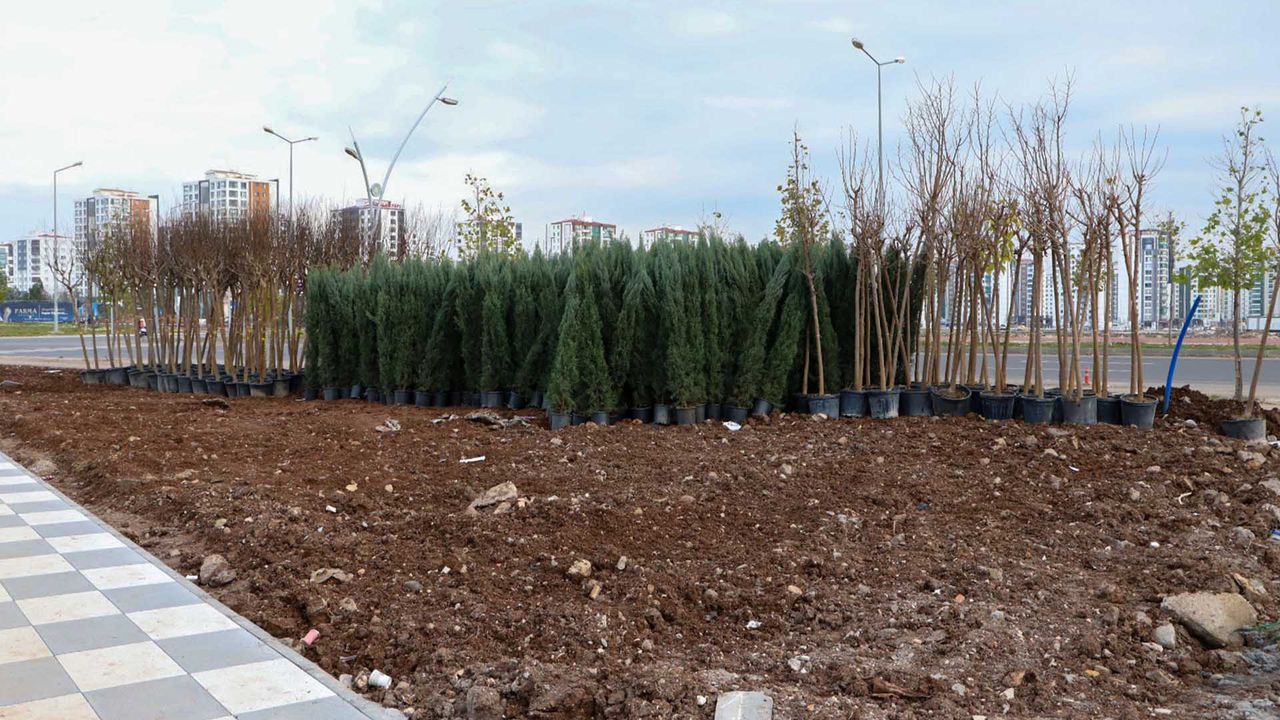 Diyarbakır’a nefes aldıracak proje: 1800 ağaç ve 6 bin çalı dikilecek