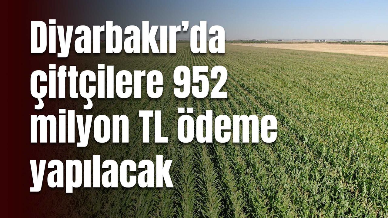 Diyarbakır’da çiftçilere 952 milyon TL ödeme yapılacak