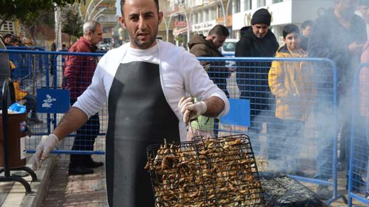 Mardin'de hamsi festivali! 1 ton hamsi ikram edildi