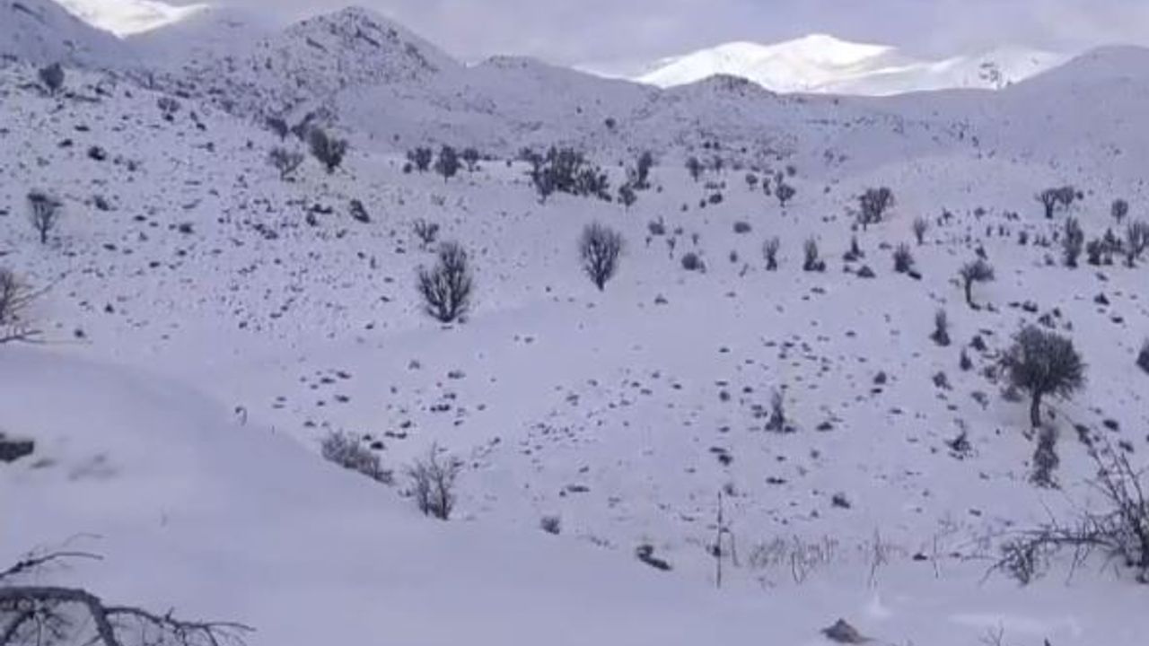 Sason'da kar kaplı yollar üç gün sonra ulaşıma açıldı