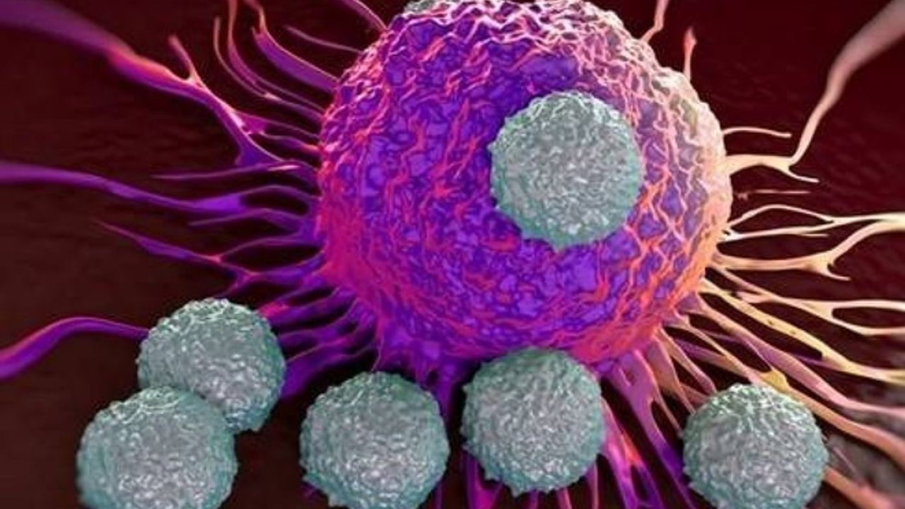 Kanserin Yayılmasına Son Verilebilir mi? MYC Proteininin Gizemi Çözüldü!