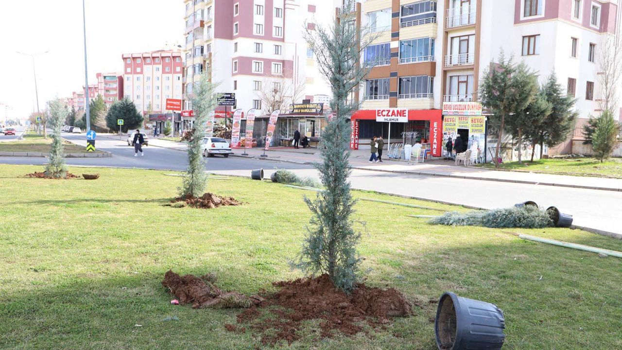 Diyarbakır’da bu kez de o cadde ağaçlandırıldı