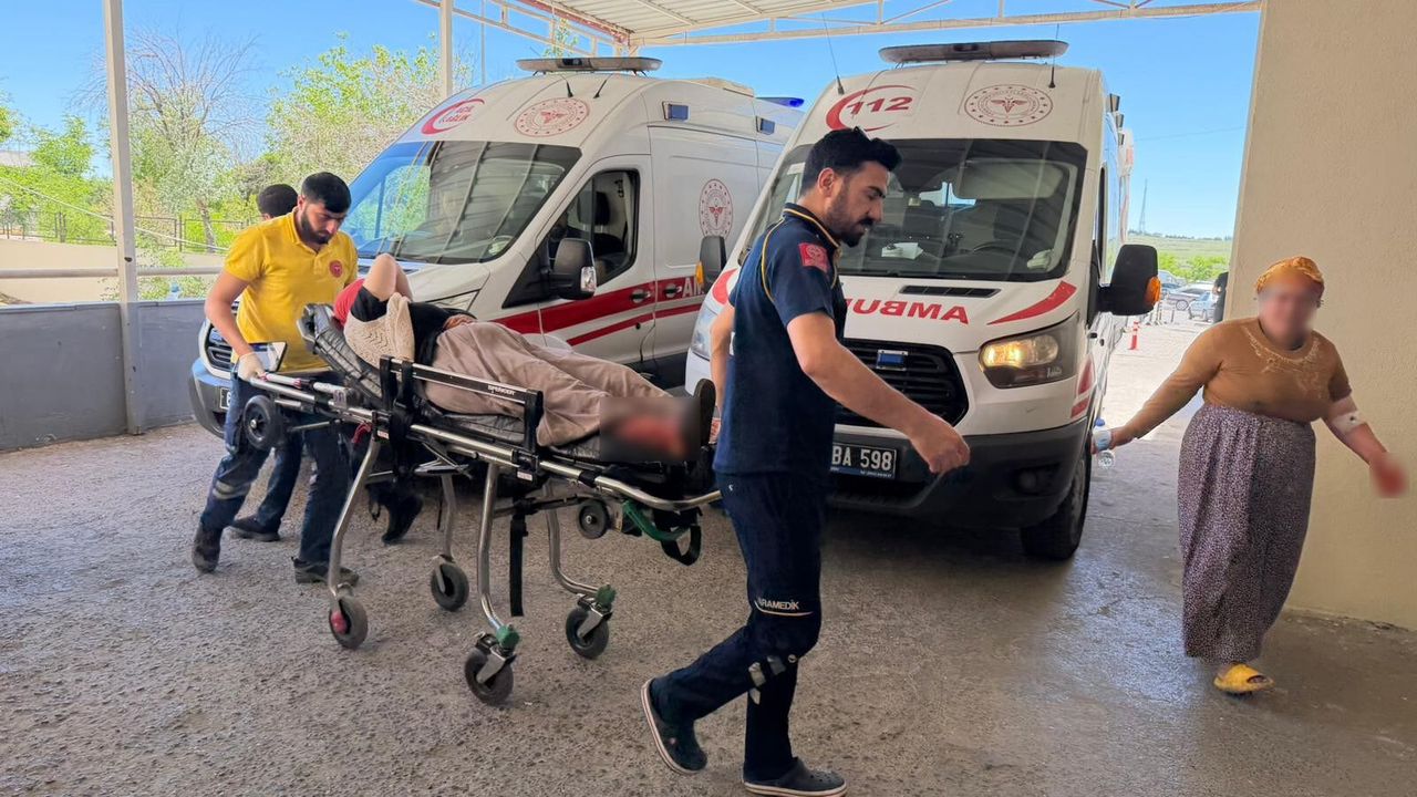 Yılanı Vurayım Derken 5 Kişiyi Yaraladı