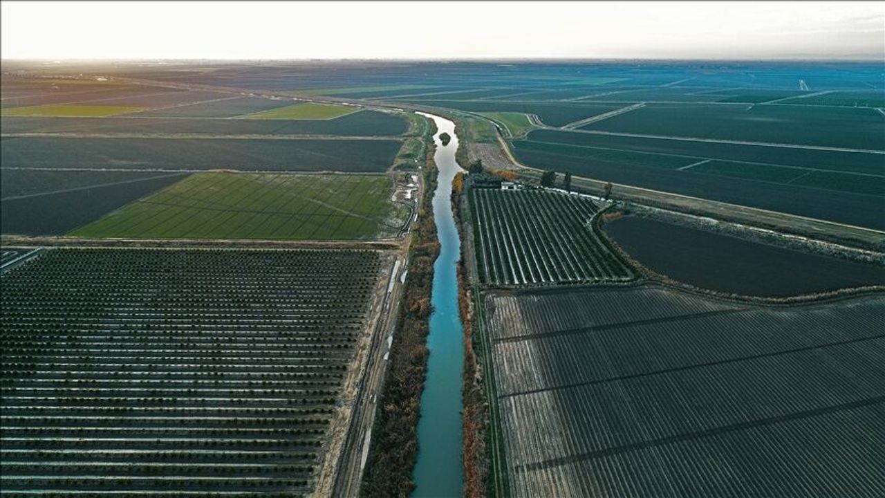 Sulama Yatırımları Meyvesini Verdi: 12 Milyar Liralık Katkı