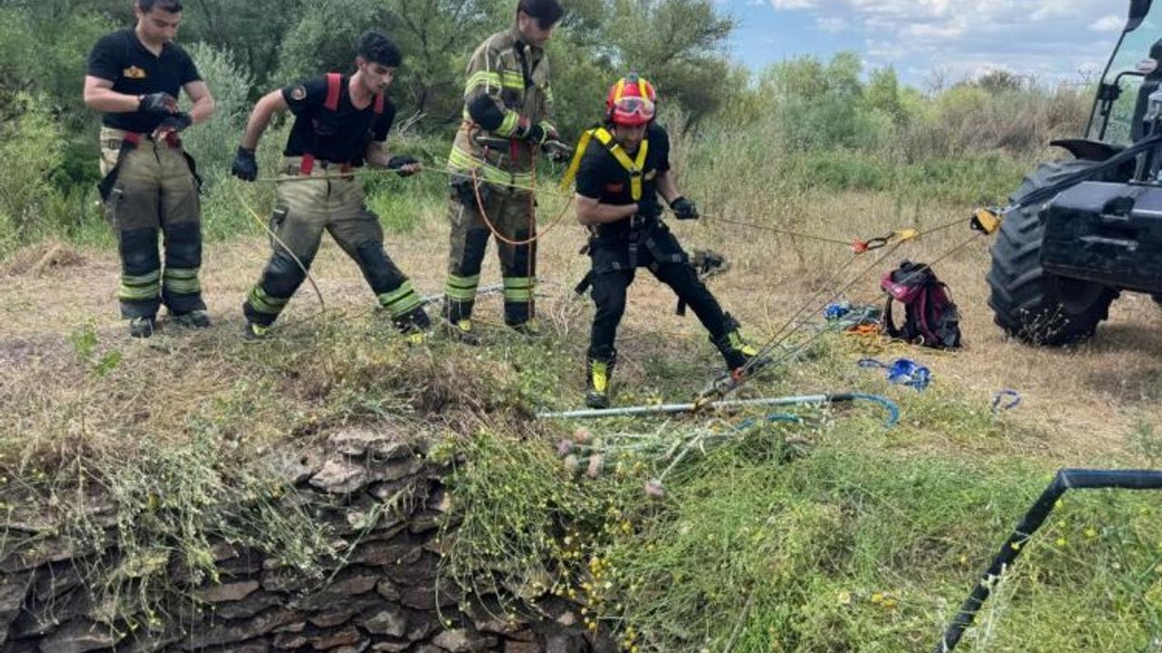 Diyarbakır Kuyuya Düşen Yaban Domuzu Kurtarıldı