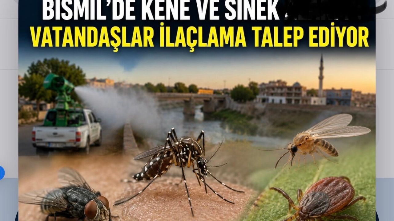 Bismil’de Sinek ve Kene Şikayetleri Arttı: Vatandaşlar Acil İlaçlama İstiyor