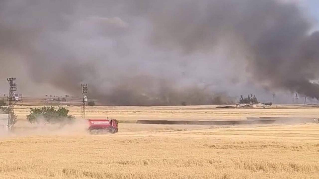 Şanlıurfa'da yüzlerce dönümlük ekili arazi yandı
