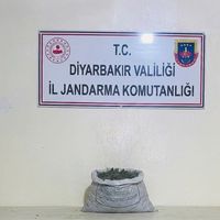 Güncel