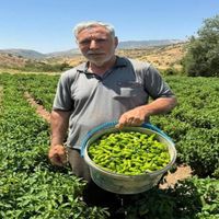 Diyarbakır