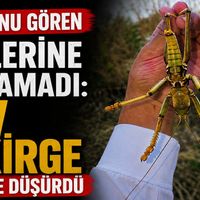 Güncel