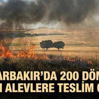 Diyarbakır
