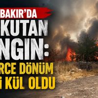 Diyarbakır