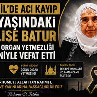 Bismil