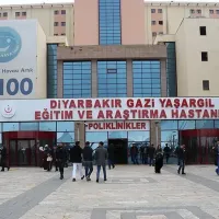 Çınar