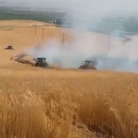 Tarım