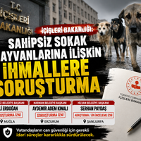 Güncel