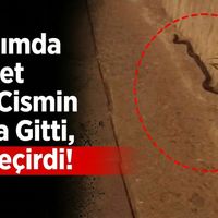 Güncel