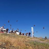 Güncel