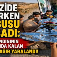 Güncel