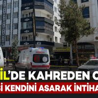 Yaşam