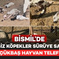 Diyarbakır