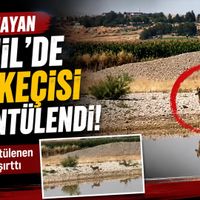 Diyarbakır