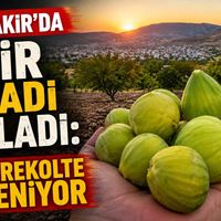 Güncel