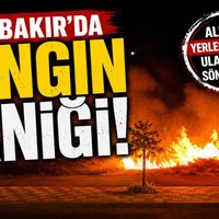 Diyarbakır