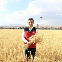 Güncel