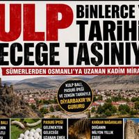 Kulp
