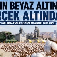 Diyarbakır