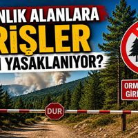 Yaşam