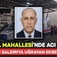 Güncel