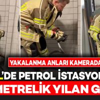 Yaşam