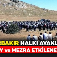 Yaşam