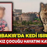 Güncel