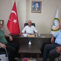 Bismil