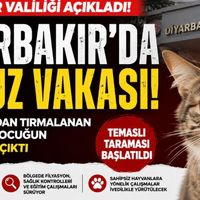 Diyarbakır