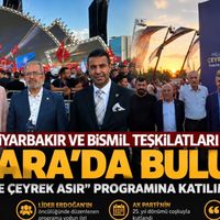 Politika