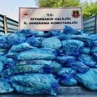 Güncel