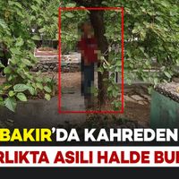 Diyarbakır