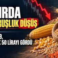 Tarım