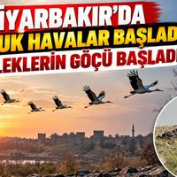 Diyarbakır